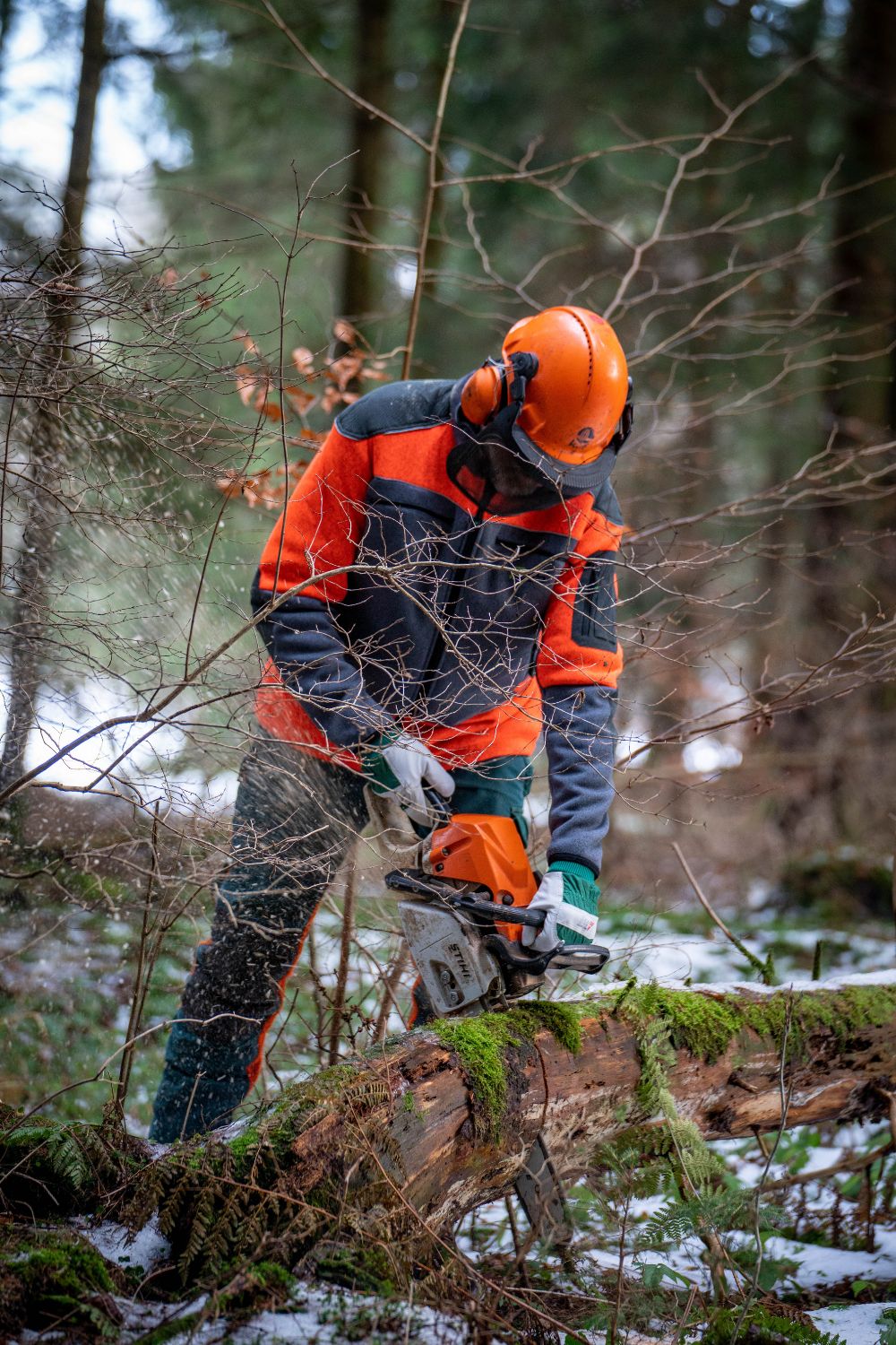 Travaux d’élagage